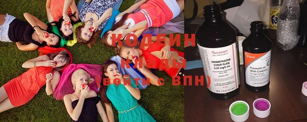 гашик Алзамай