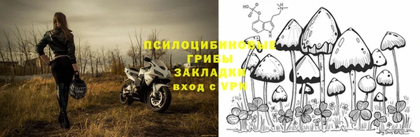 гашик Алзамай