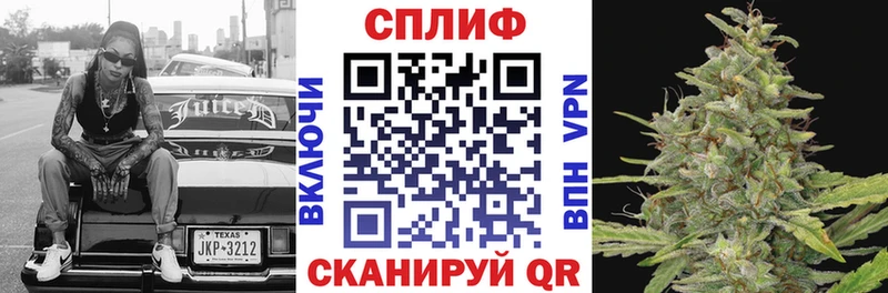 как найти Пойковский МАРИХУАНА сатива